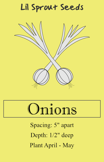 Onions