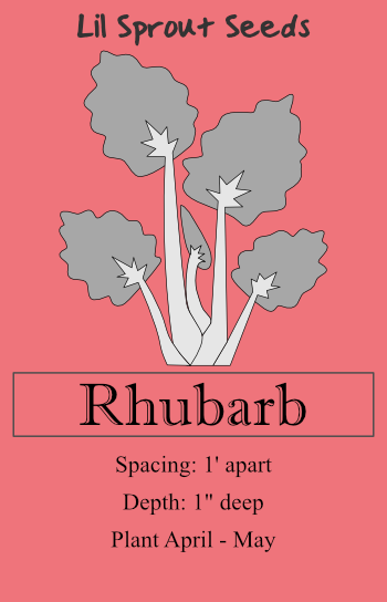 Rhubarb