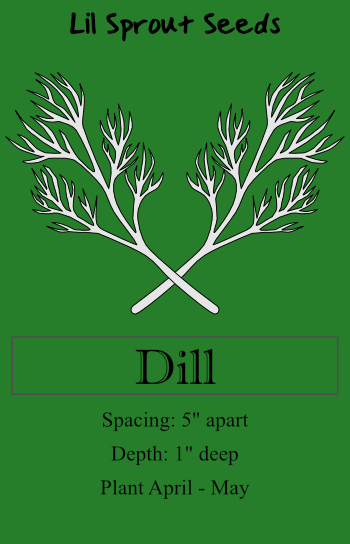 Dill